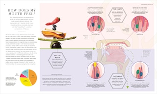 Sample content 3_The Science of Flavor