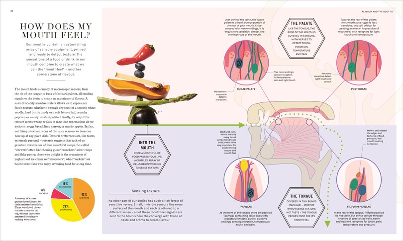 Sample content 3_The Science of Flavor