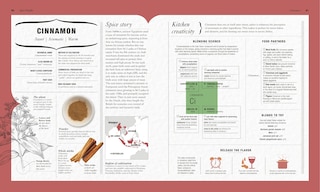 Sample content 4_The Science Of Spice