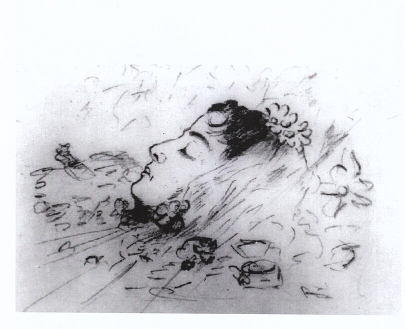 Sample content 3_The Scintillating Life of Iulia Hasdeu