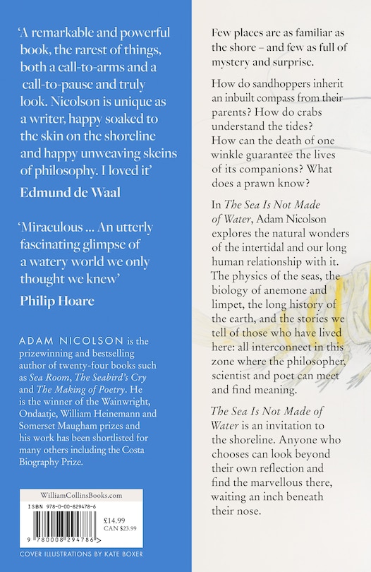 Back cover_The Sea is Not Made of Water: Life Between the Tides