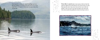 Sample content 3_The Seal Garden