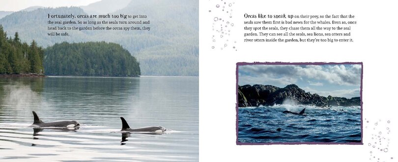 Sample content 3_The Seal Garden