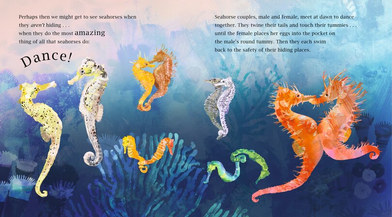 Aperçu du contenu_The Secret World of Seahorses