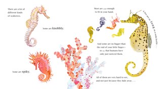 Aperçu du contenu 2_The Secret World of Seahorses