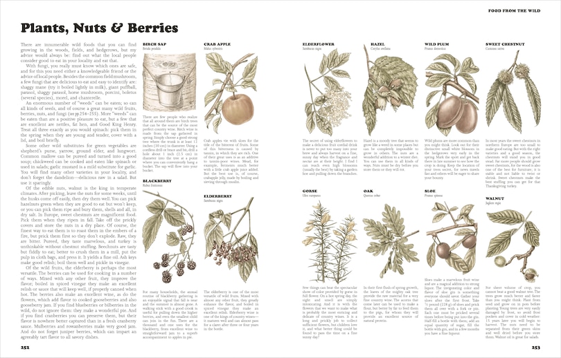 Aper&ccedil;u du contenu 2_The Self-Sufficient Life and How to Live It