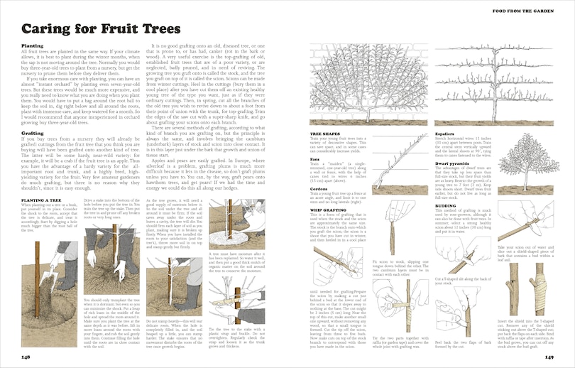 Aper&ccedil;u du contenu 4_The Self-Sufficient Life and How to Live It