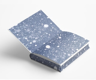 Aper&ccedil;u du contenu 3_The Shack (Deluxe Edition)