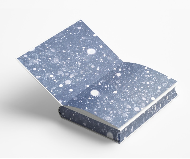 Aper&ccedil;u du contenu 3_The Shack (Deluxe Edition)