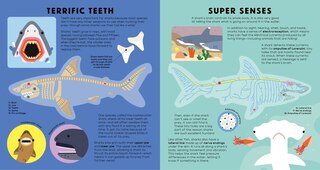 Sample content_The Shark Book