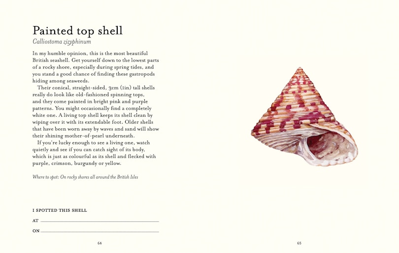 Aper&ccedil;u du contenu_The Shell Spotter&rsquo;s Guide