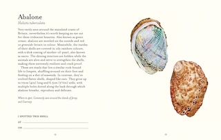 Aper&ccedil;u du contenu 2_The Shell Spotter&rsquo;s Guide
