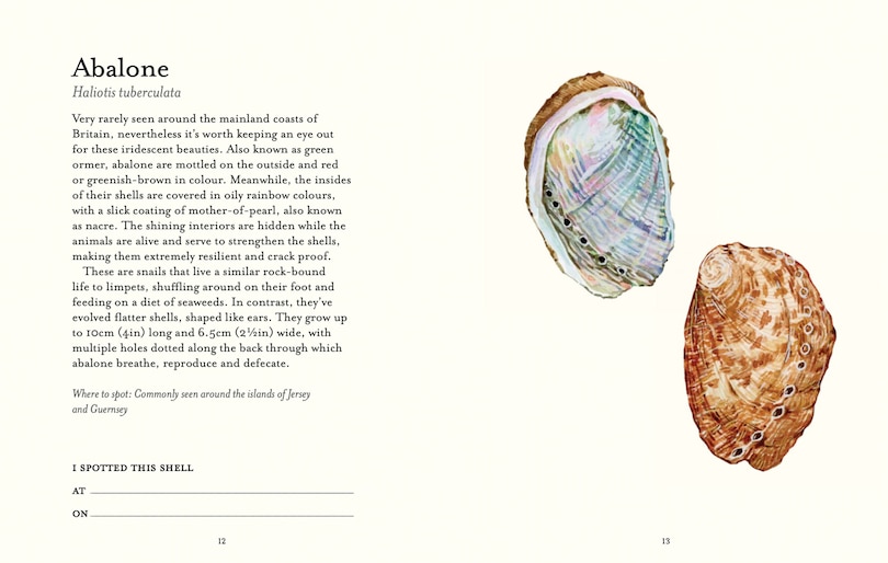 Aper&ccedil;u du contenu 2_The Shell Spotter&rsquo;s Guide
