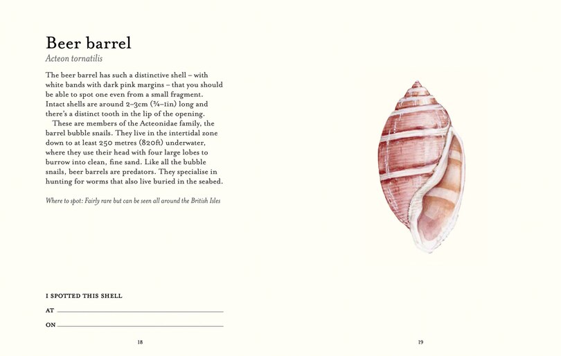 Aper&ccedil;u du contenu 4_The Shell Spotter&rsquo;s Guide