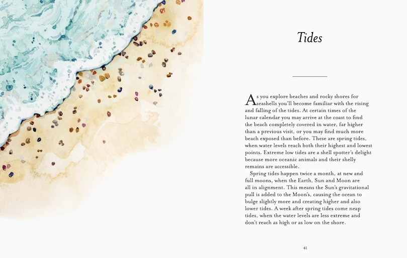 Aper&ccedil;u du contenu 5_The Shell Spotter&rsquo;s Guide