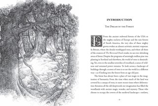 Sample content 5_The Sherwood Oracle