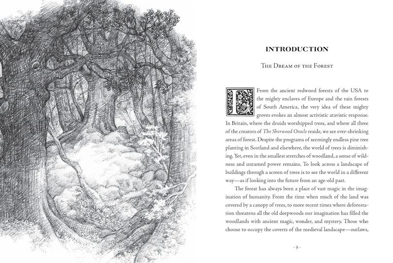 Sample content 5_The Sherwood Oracle