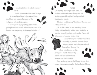 Aperçu du contenu 2_The Show