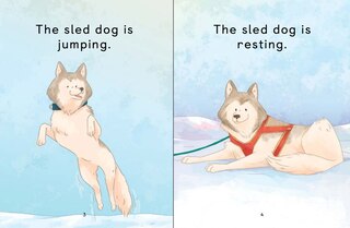 Sample content 3_The Sled Dog