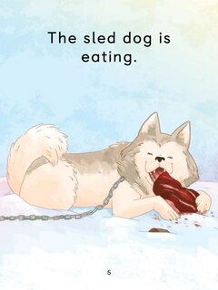 Sample content 4_The Sled Dog