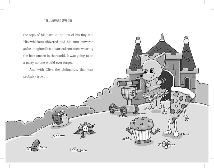 Sample content 2_The Sleepover Surprise