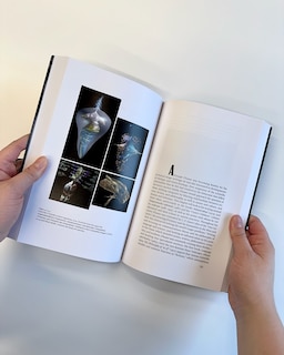 Aper&ccedil;u du contenu_The Society of the Screen