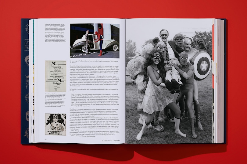 Sample content 4_The Stan Lee Story
