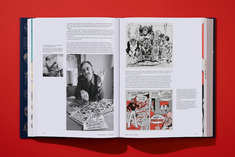Sample content 5_The Stan Lee Story