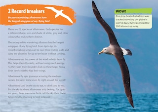 Sample content_The Story of the Albatross: Band 14/Ruby (Collins Big Cat)