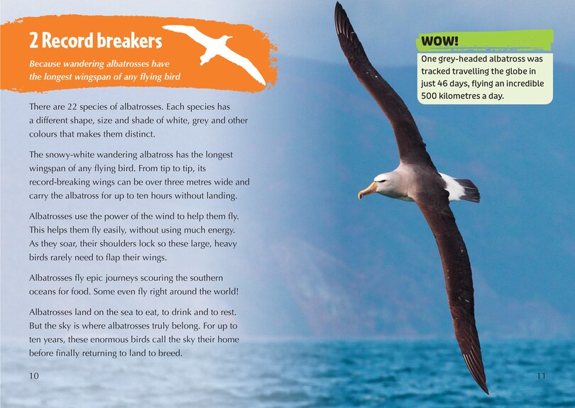 Sample content_The Story of the Albatross: Band 14/Ruby (Collins Big Cat)