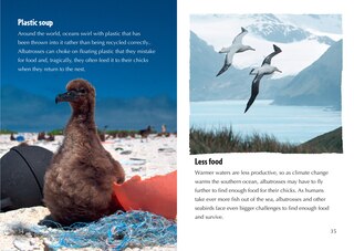 Sample content 3_The Story of the Albatross: Band 14/Ruby (Collins Big Cat)