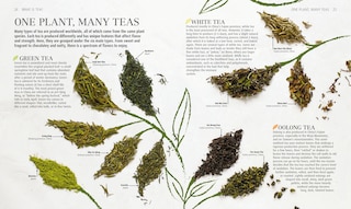 Aper&ccedil;u du contenu 4_The Tea Book