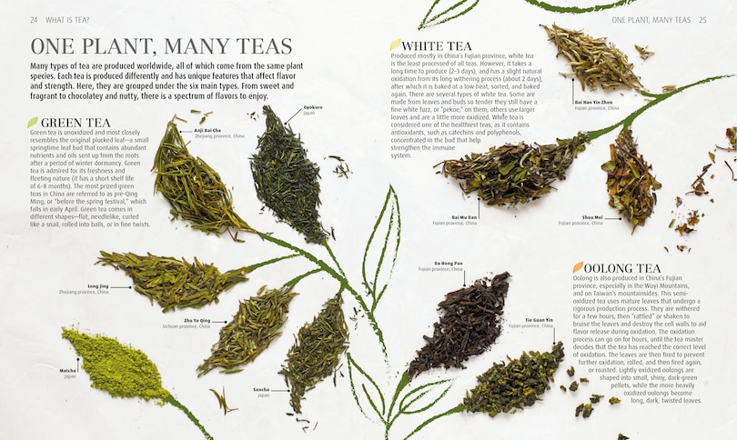 Aper&ccedil;u du contenu 4_The Tea Book