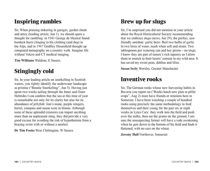 Sample content 3_The Times Sir