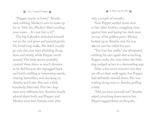 Aper&ccedil;u du contenu 2_The Trapped Puppy