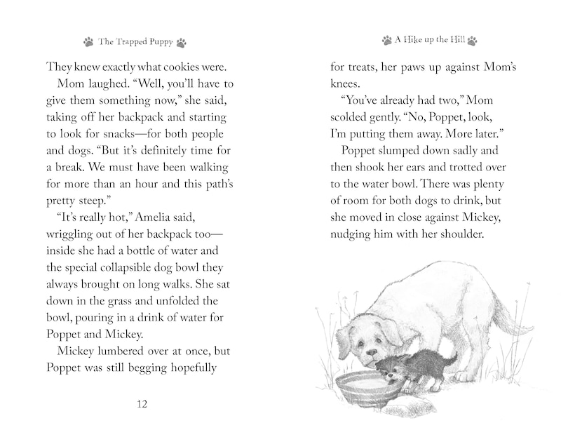 Aper&ccedil;u du contenu 3_The Trapped Puppy