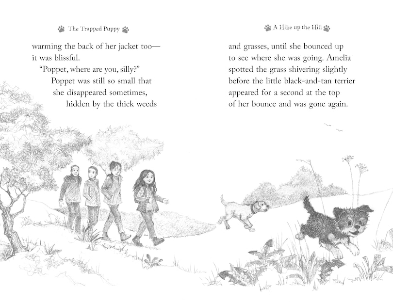 Aper&ccedil;u du contenu 5_The Trapped Puppy