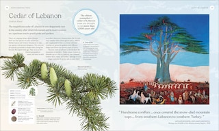 Sample content_The Tree Book