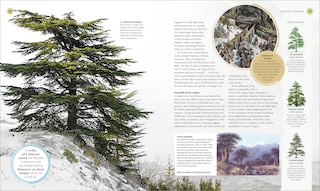 Sample content 2_The Tree Book