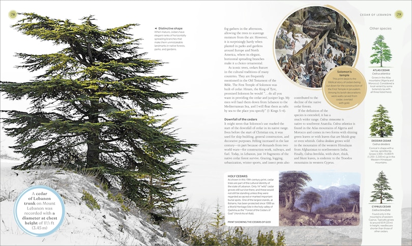 Sample content 2_The Tree Book