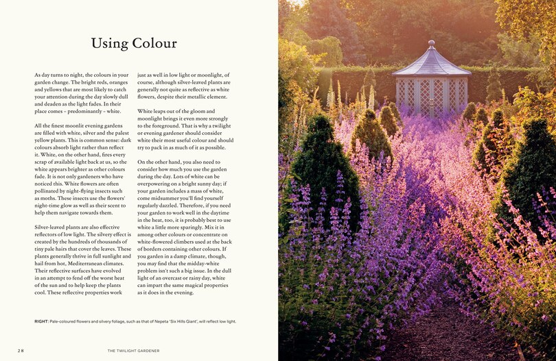 Sample content 4_The Twilight Gardener