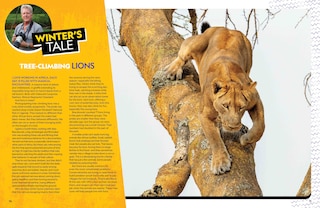 Sample content 5_The Ultimate Book Of Big Cats