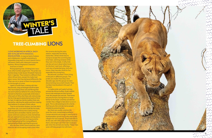 Sample content 5_The Ultimate Book Of Big Cats