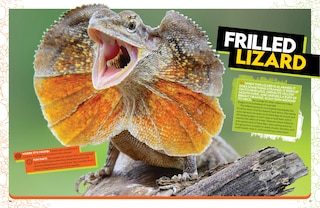 Sample content_The Ultimate Book of Reptiles