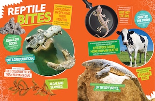 Sample content 2_The Ultimate Book of Reptiles