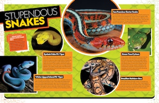 Sample content 3_The Ultimate Book of Reptiles