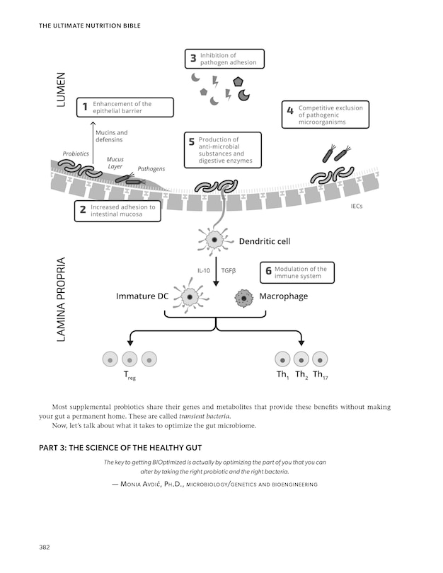 Aperçu du contenu 2_The Ultimate Nutrition Bible