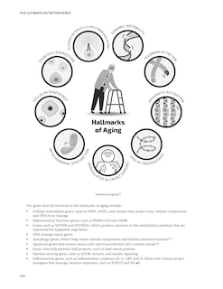 Aperçu du contenu 4_The Ultimate Nutrition Bible