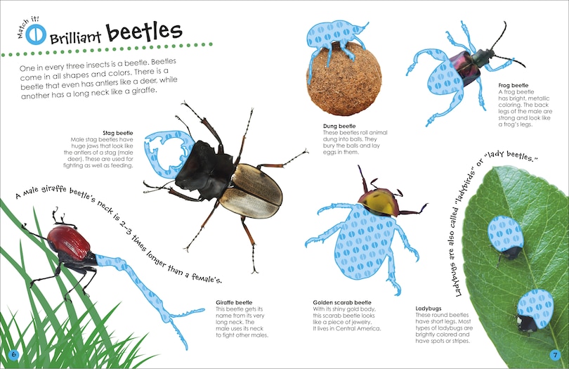 Sample content 3_The Ultimate Sticker Book Bugs