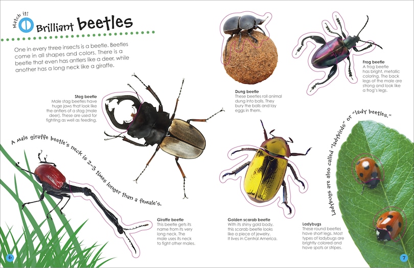 Sample content 5_The Ultimate Sticker Book Bugs